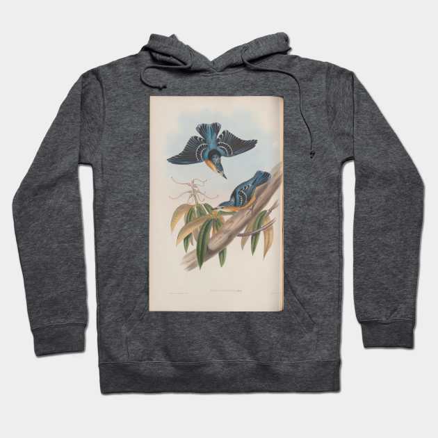 Birds Hoodie by pocketlama